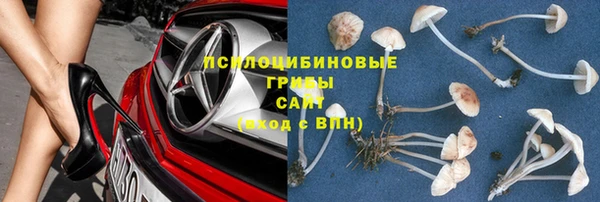 ПСИЛОЦИБИНОВЫЕ ГРИБЫ Верхнеуральск
