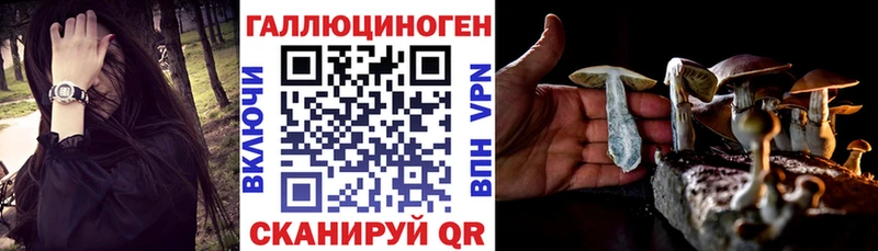 Купить где Куйбышев Псилоцибиновые грибы мицелий